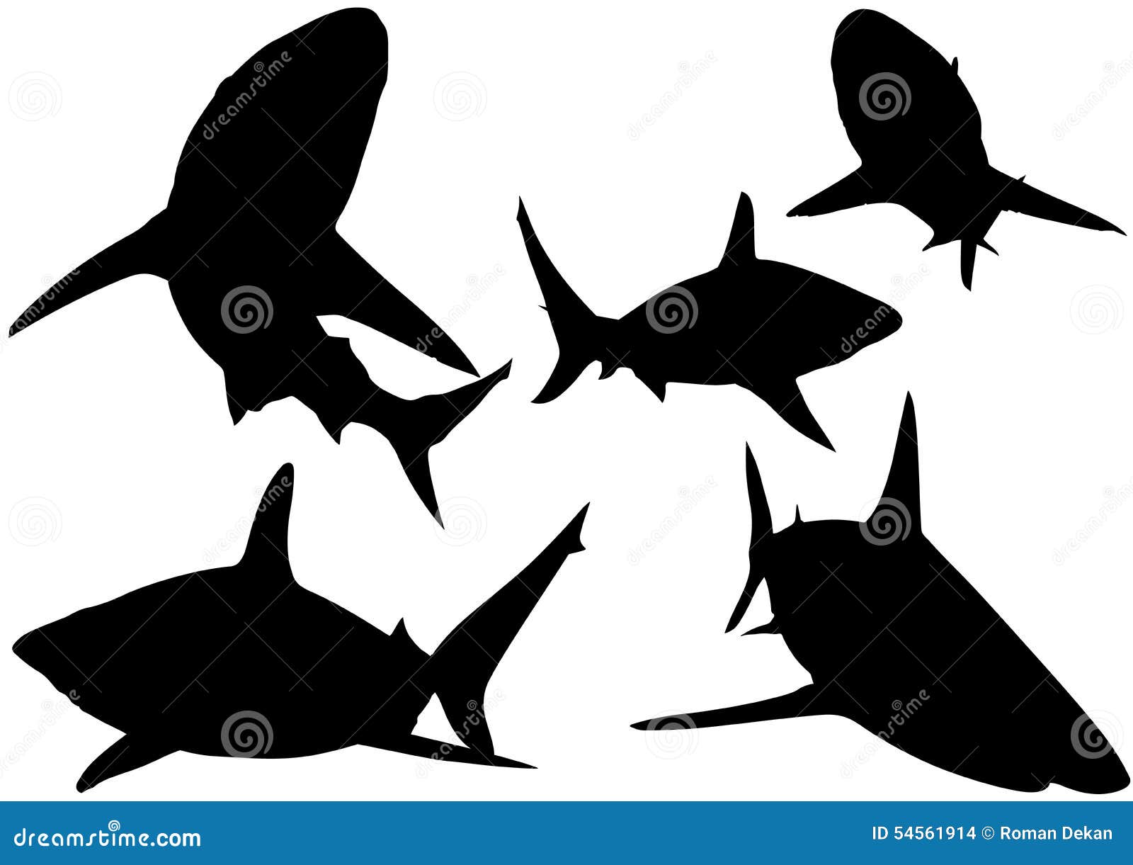 blacktip reef shark silhouettes
