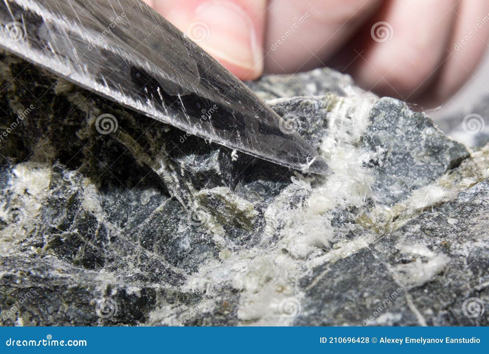 The Blade of the Knife Picks and Pulls Stock Photo Image of lung, macro 210696428