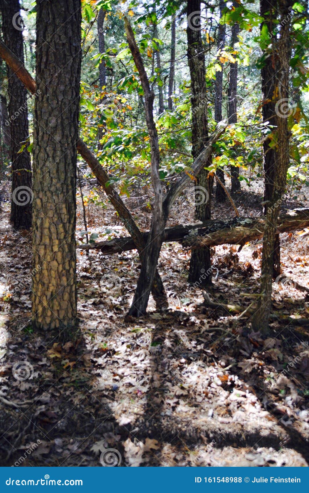 Blair witch symbol - batterystorm