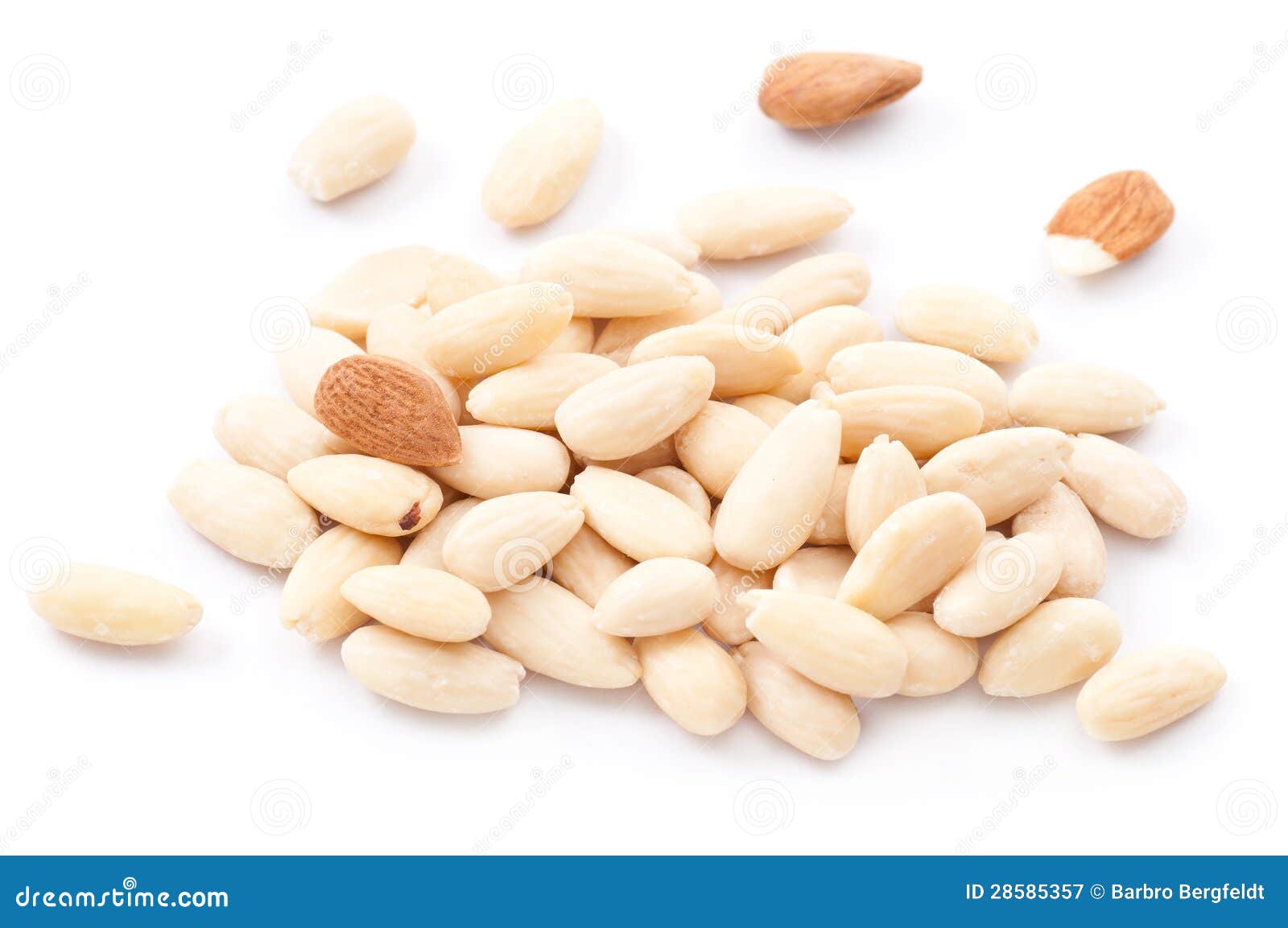 Blanched Almonds stock image. Image of nuts, space, copy 28585357