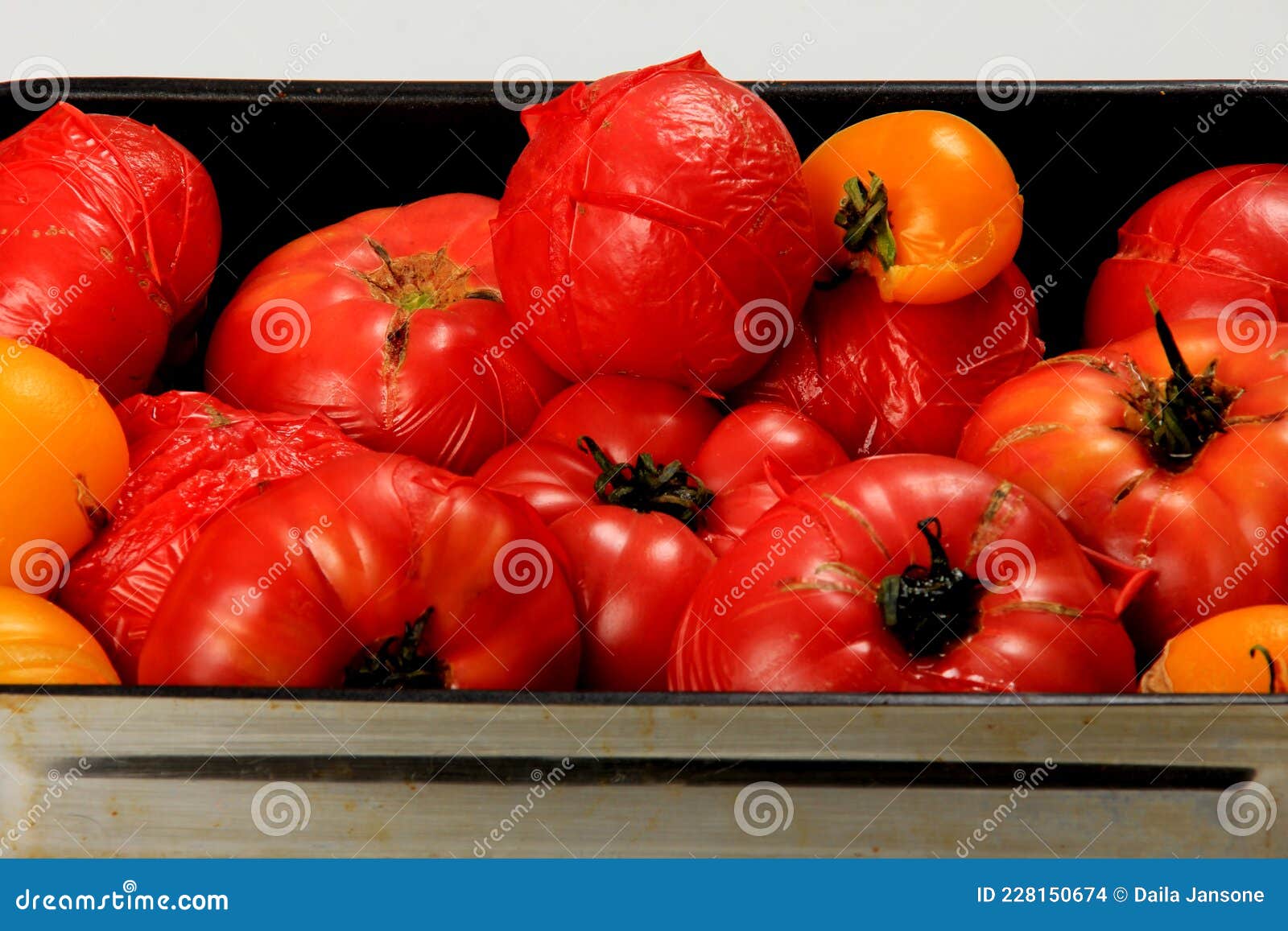 Blanched Red Tomatoes on a Plate, Ready for Peeling Stock Photo Image