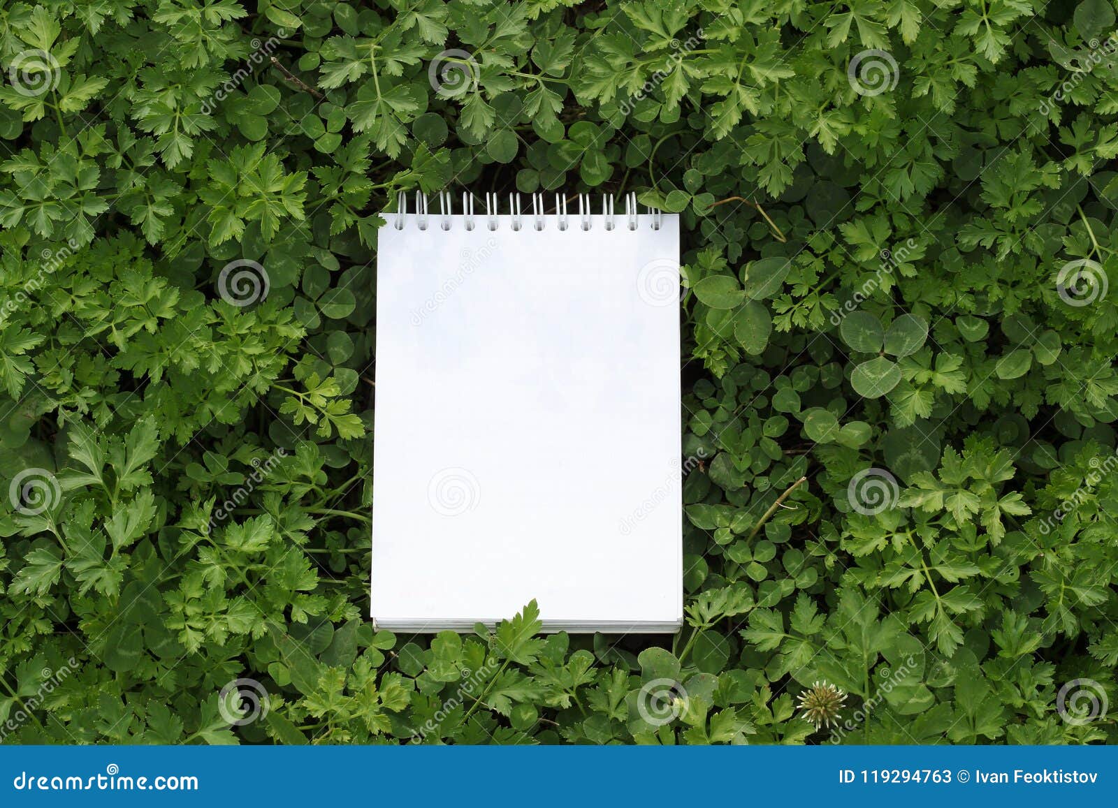 Nature Workplace stock image. Image of creative 119294763