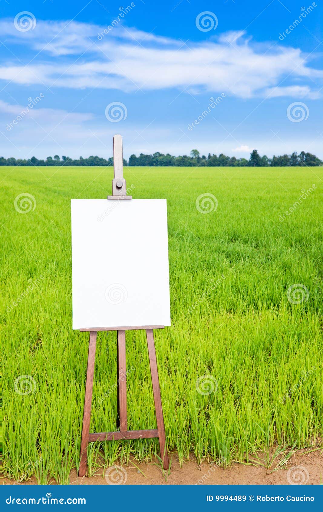 29,990 Square Canvas Stock Photos - Free & Royalty-Free Stock Photos from  Dreamstime