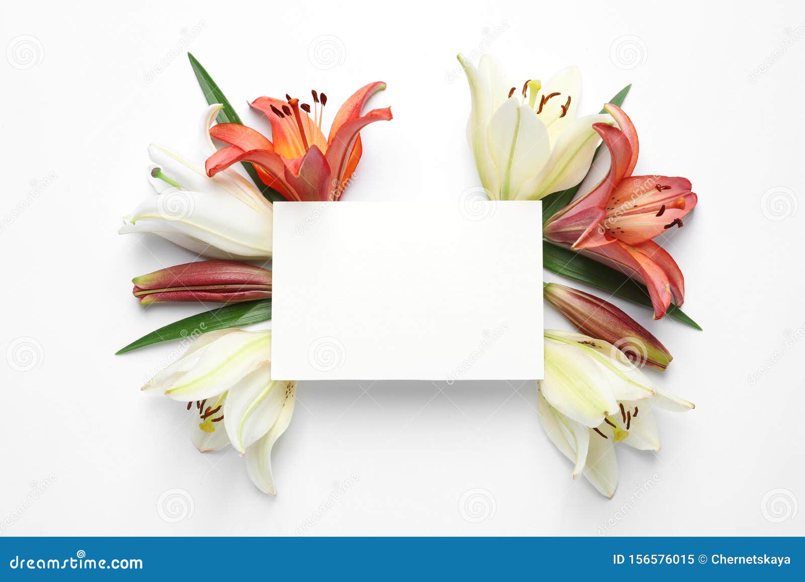 Blank Card With Fresh Lily Flowers On White Background. Space For Text