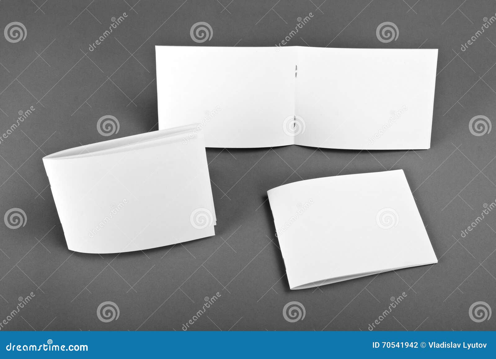 Blank Catalog, Brochure, Magazines, Book Stock Photo Image of reading