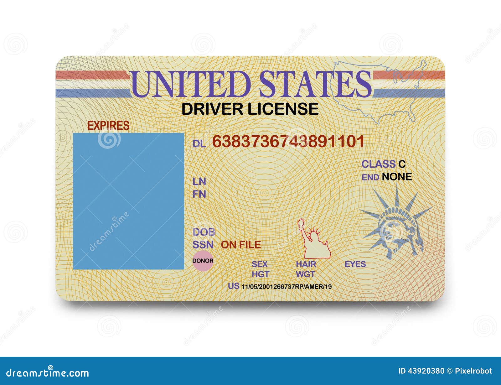 blank driver license