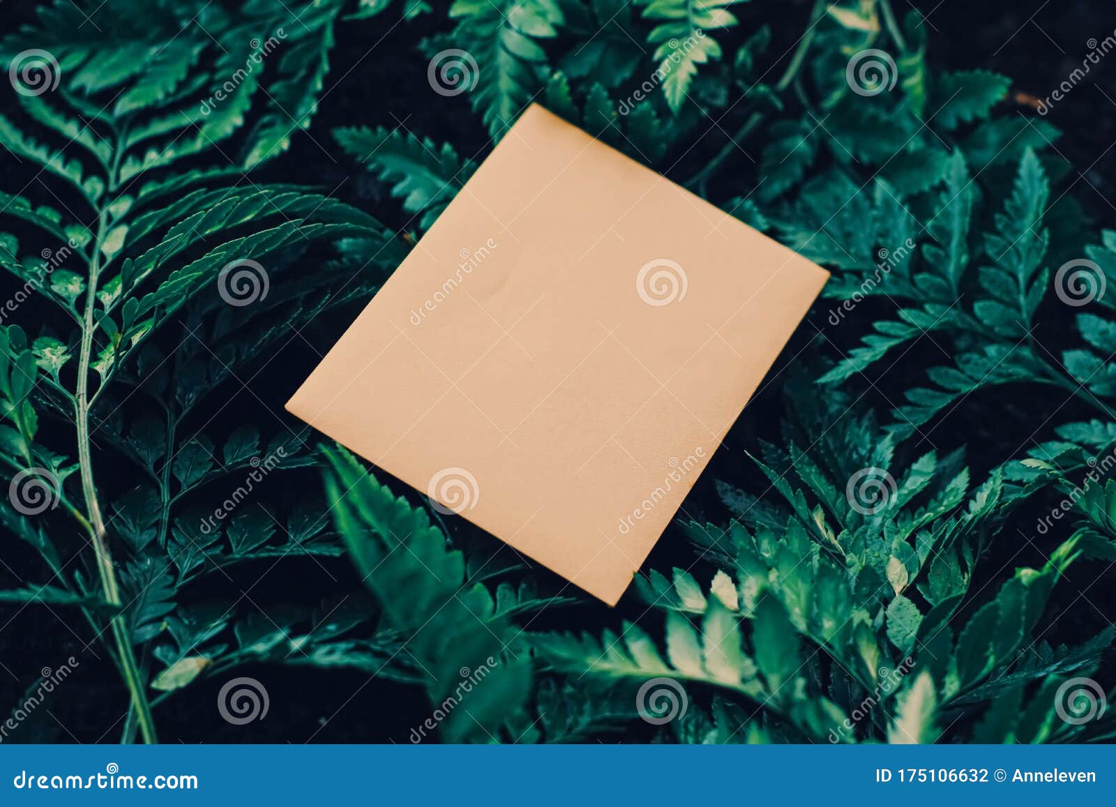 Blank Envelope And Green Leaves In Nature Paper Card As Background Correspondence And Newsletter Stock Photo Image Of Envelope Gift 175106632