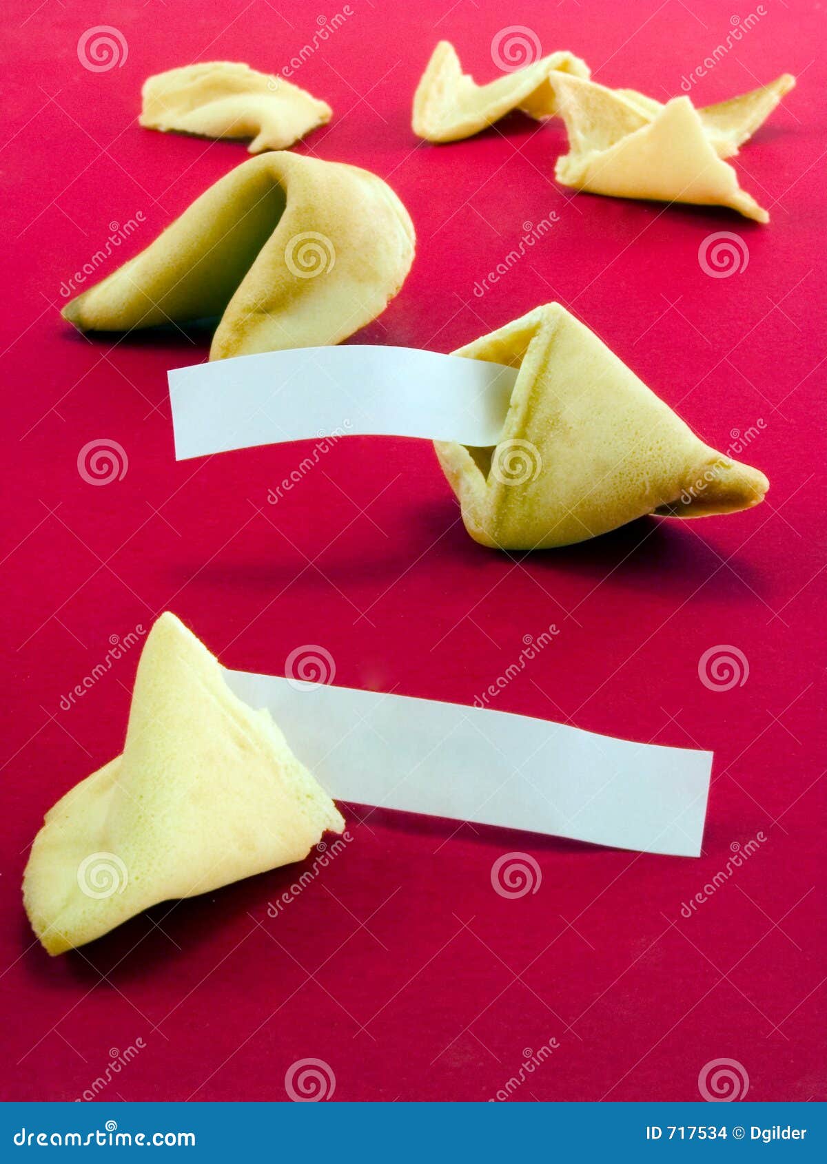 Blank Fortune Cookie Messages 3 Stock Photo Image of blank, humor 717534