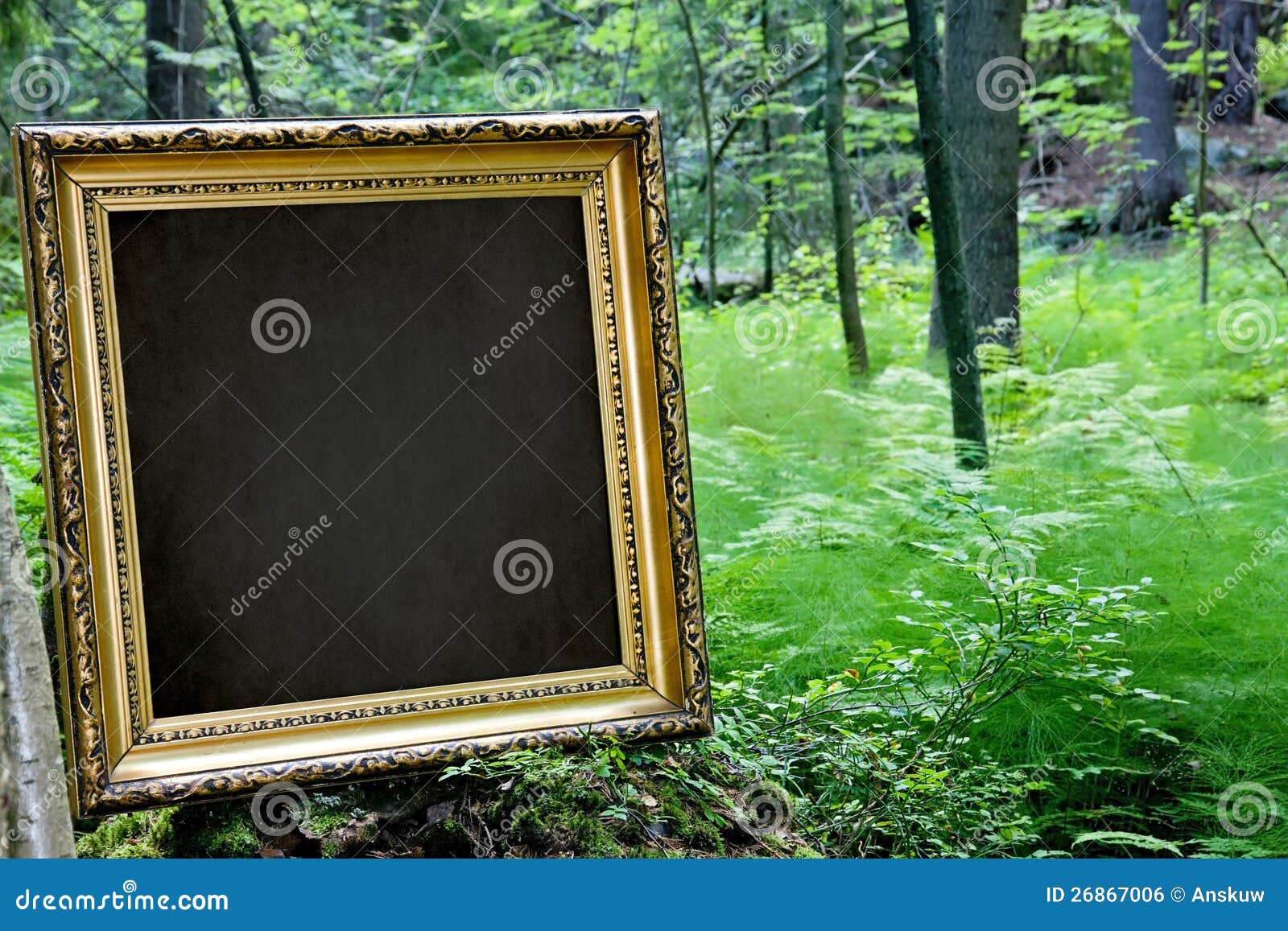 Golden Frame in Nature Stock Photo - Image of space, black: 26867006