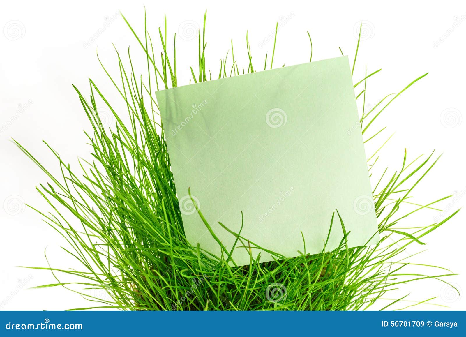 Blank Green Sticker in Green Grass Stock Image Image of long, environmental 50701709