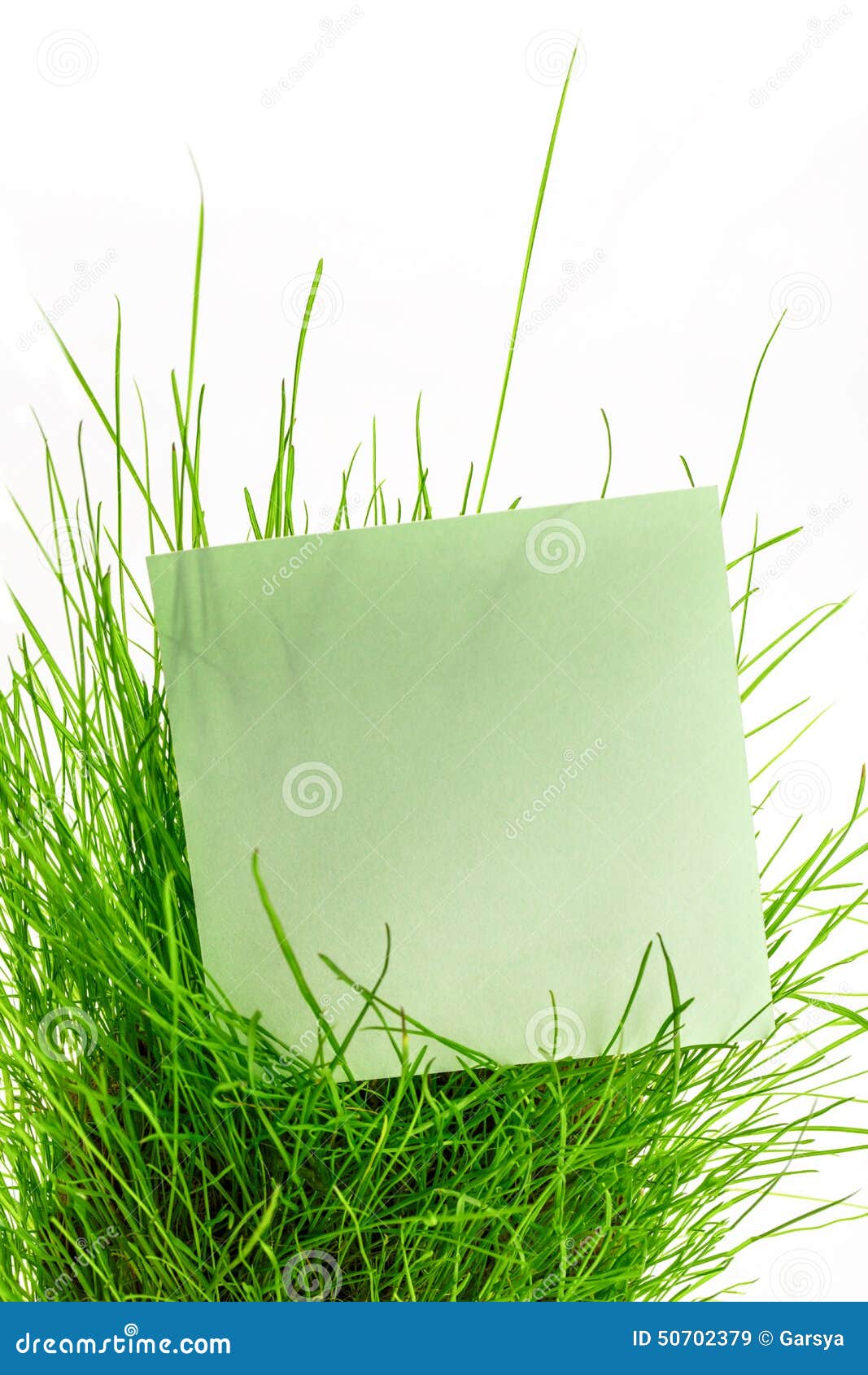 Blank Green Sticker in Green Grass Stock Image Image of long, label 50702379