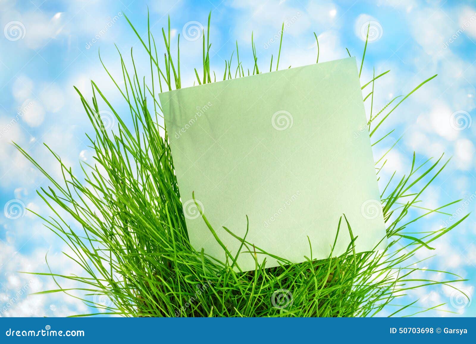 Blank Green Sticker in Green Grass Stock Photo Image of backdrop, fresh 50703698