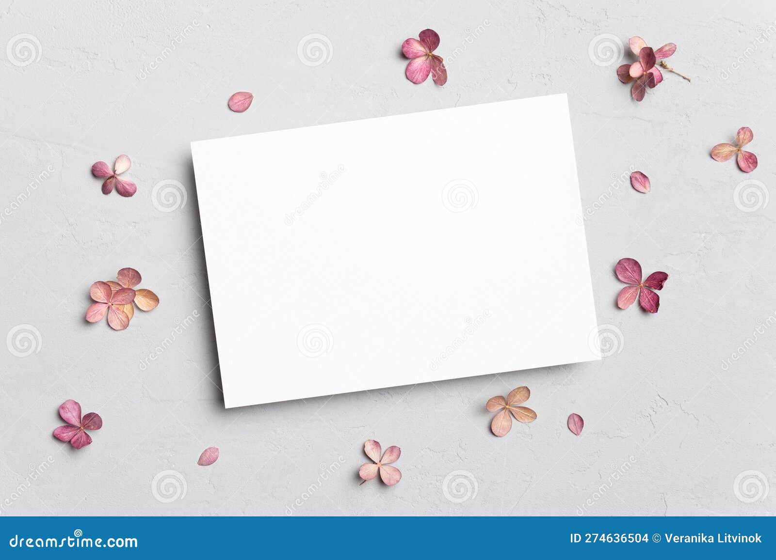 Blank Invitation or Greeting Card Mockup Stock Photo Image of empty