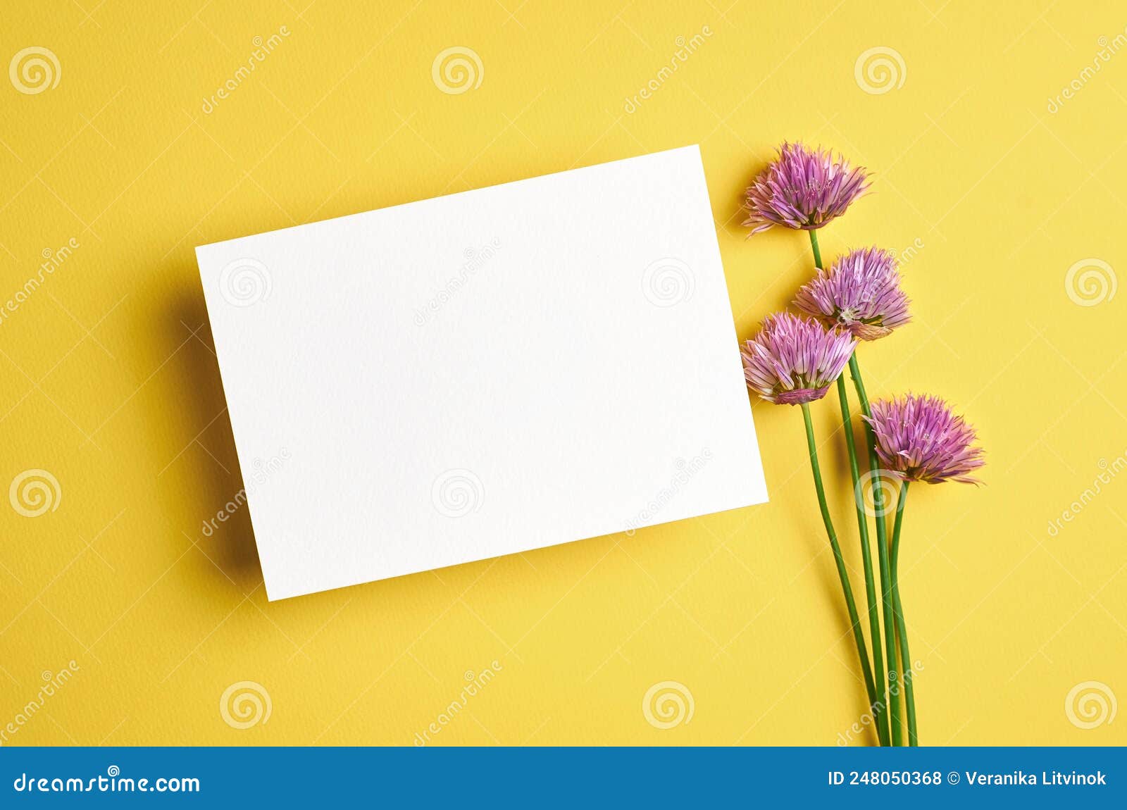 Blank Invitation or Greeting Card Mockup with Flowers Stock Photo