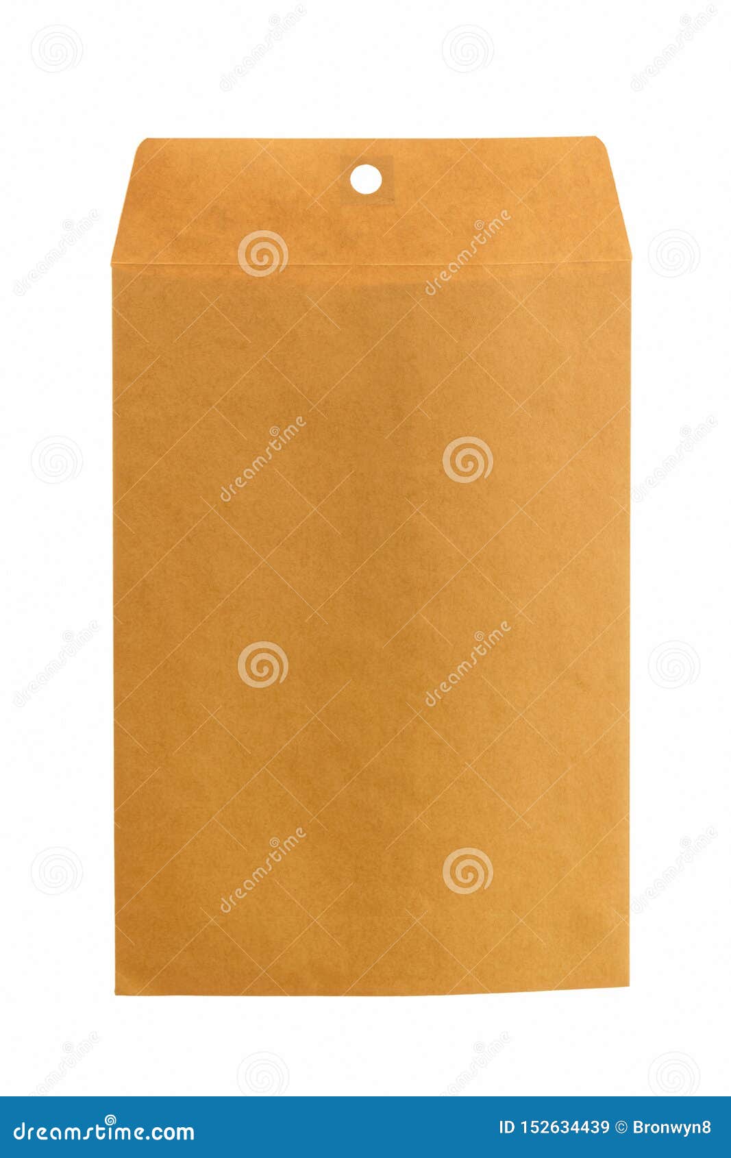 blank manilla envelope for your copy