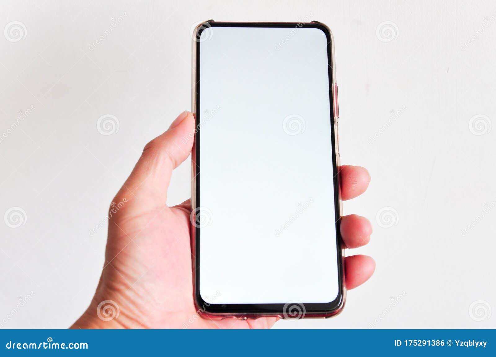 Blank Mobile phone in hand stock photo. Image of mobile 175291386