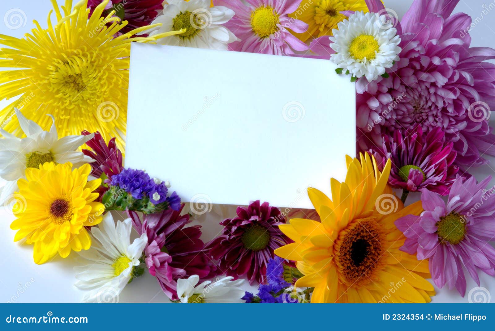 Blank Notecard With Flowers Stock Photo Image 2324354