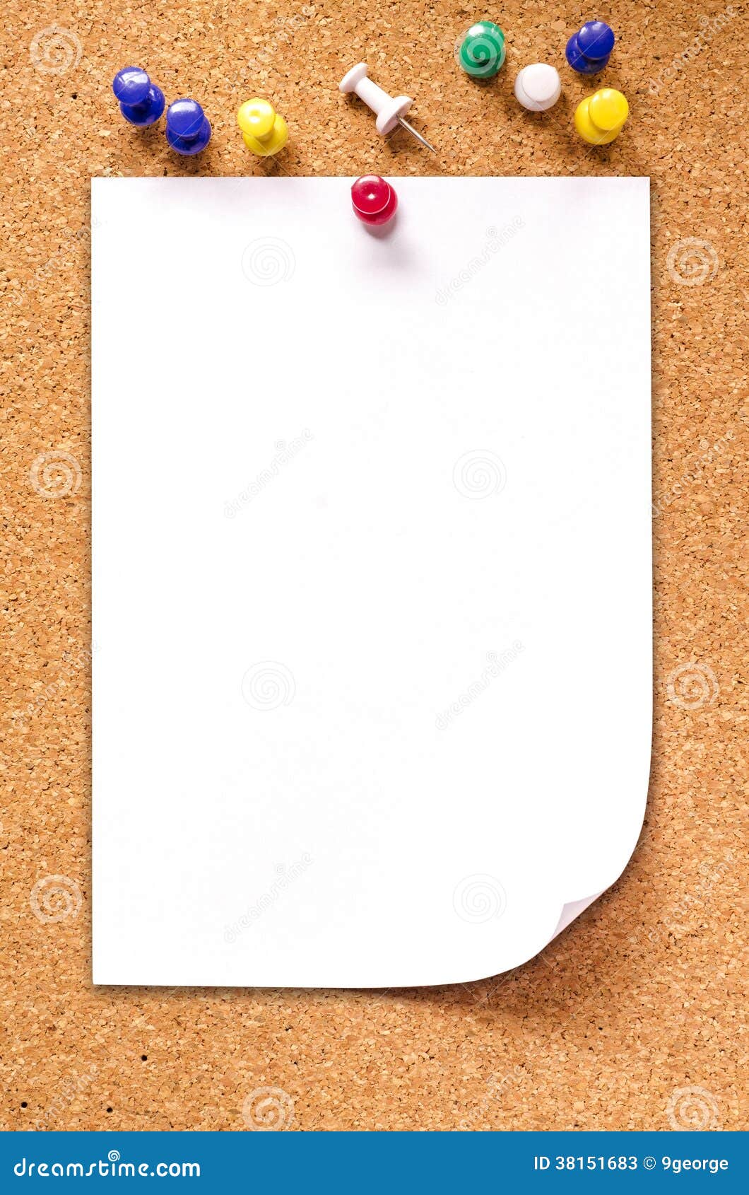 Blank Note Paper on Cork Board Clipping Path Included Stock Image