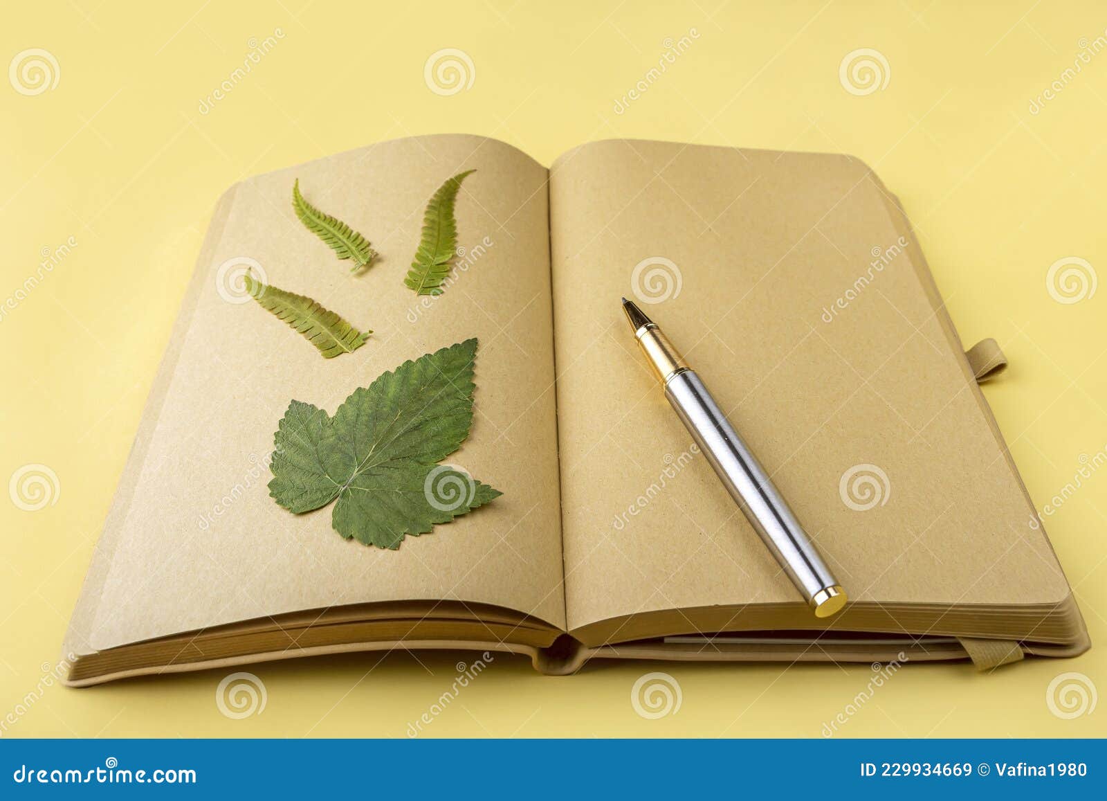 Blank Open Vintage Diary, Notebook with Herbarium of Diverse Pressed Dried  Plants and Pen. Writing Wishes, Goals, Plans, Activity Stock Image - Image  of botanical, album: 229934669
