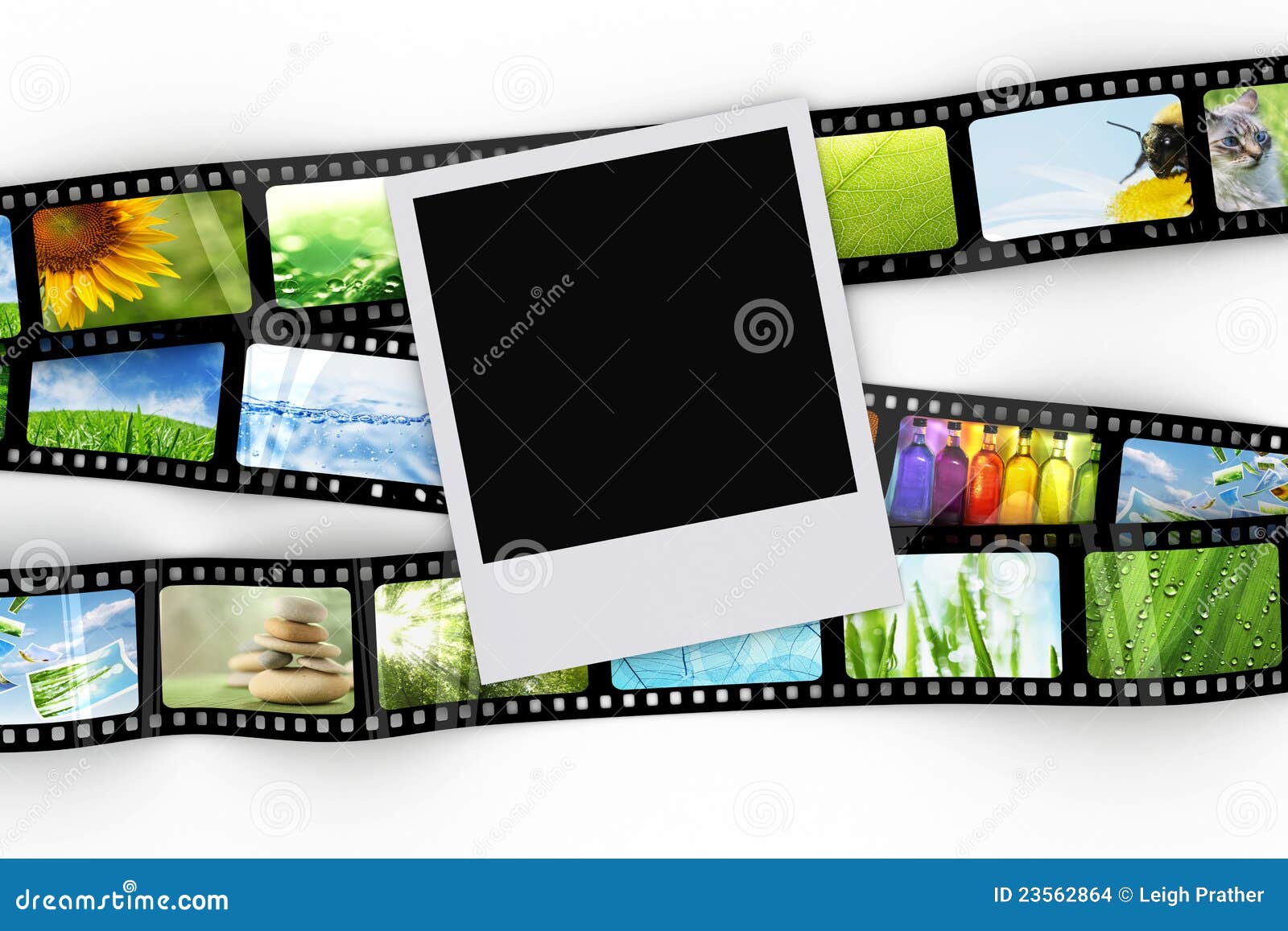 Blank photo with film stock illustration. Illustration of frame 23562864