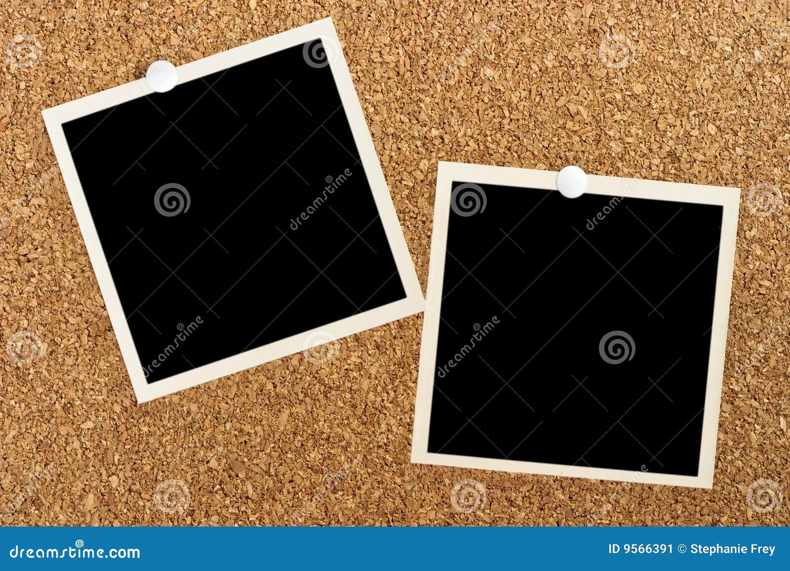 Blank photos on cork board stock image. Image of background 9566391