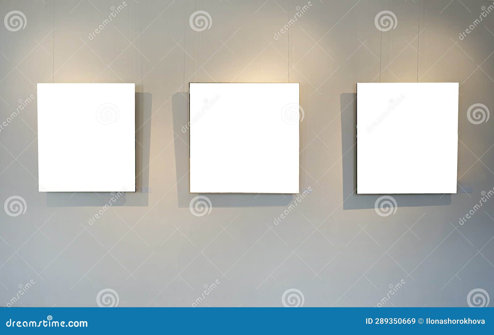 Blank Picture Frames on Grey Wall with Glowing Lamp, Mock Up Stock
