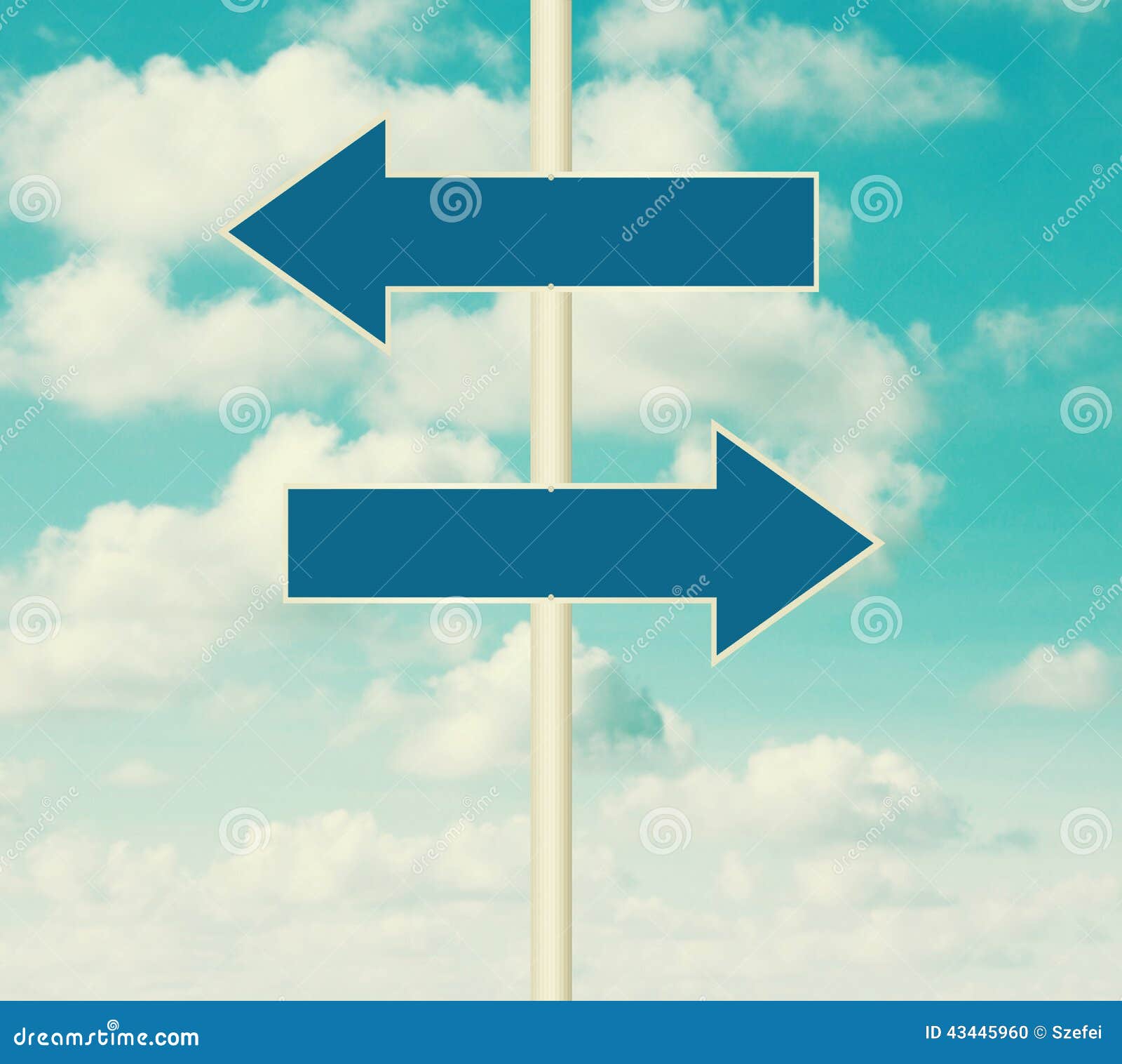 Blank Road Signs Pointing In Opposite Directions Stock Illustration