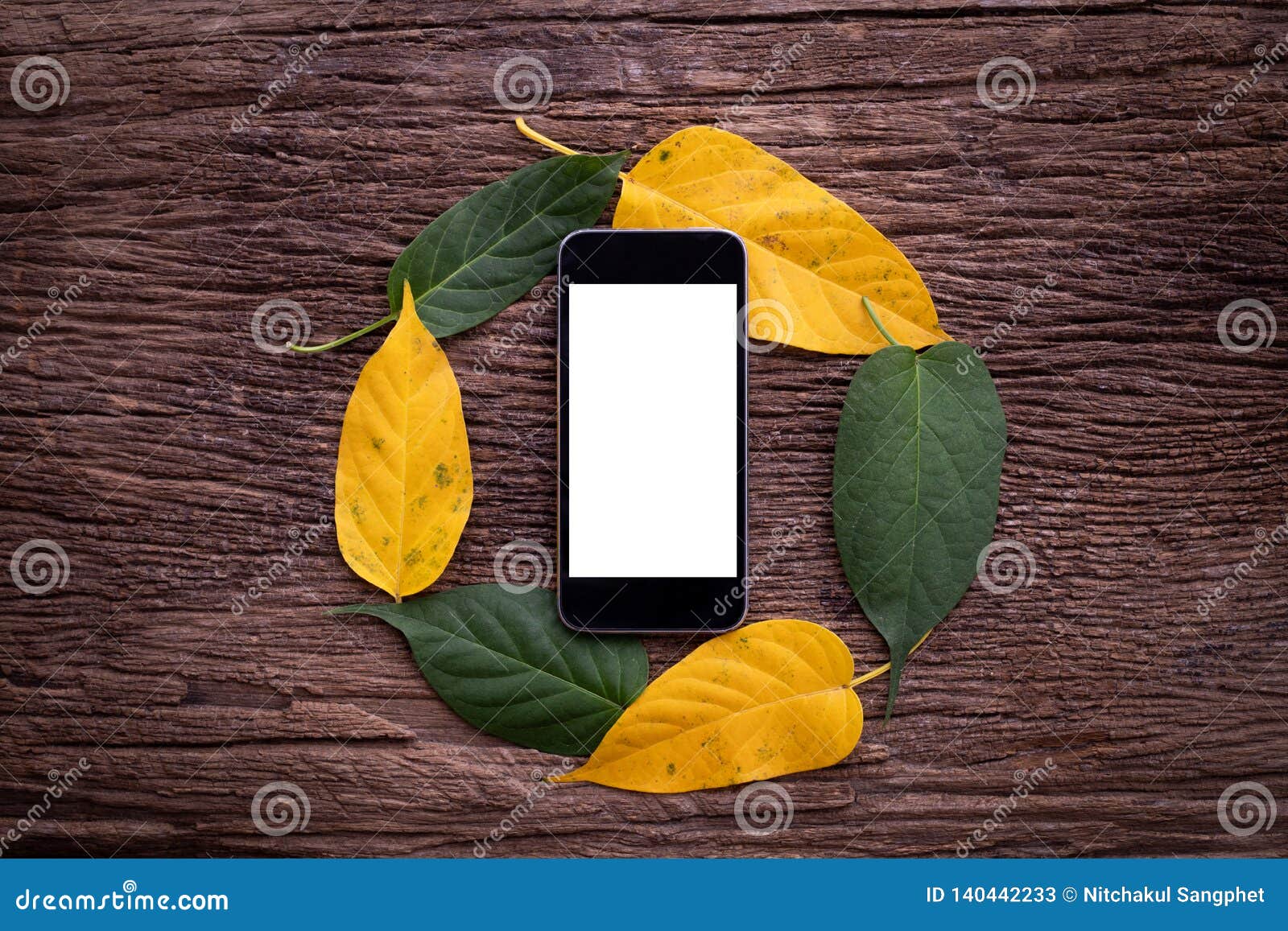 Blank Screen on on Smartphone, Mobile, Cell Phone and Leaf Cycle Frame  Background on Wood Table Stock Image - Image of technology, screen:  140442233