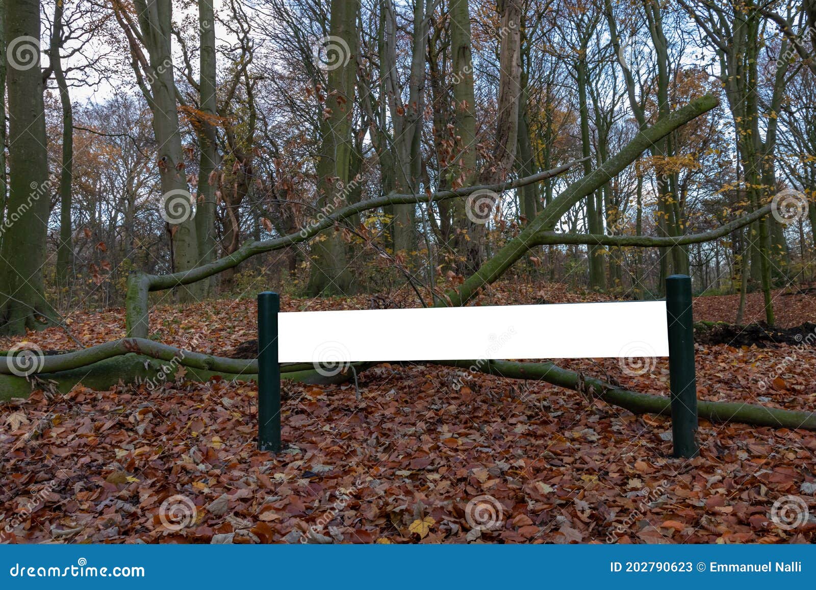 blank sign board in a park in autumn seasan fall leaves