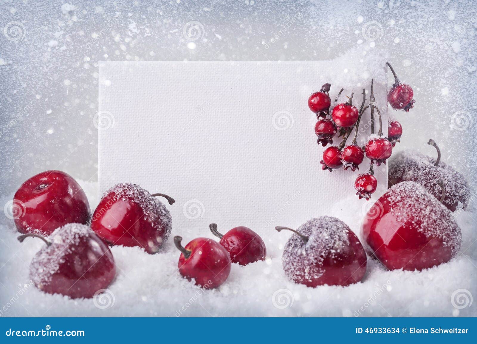  Blank  Sign With Christmas  Decorations  Stock Photo Image 