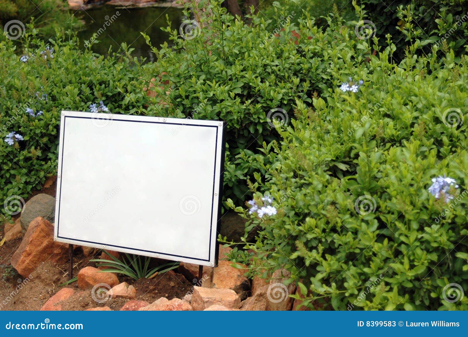 Blank sign in garden stock image. Image of blank, bush 8399583