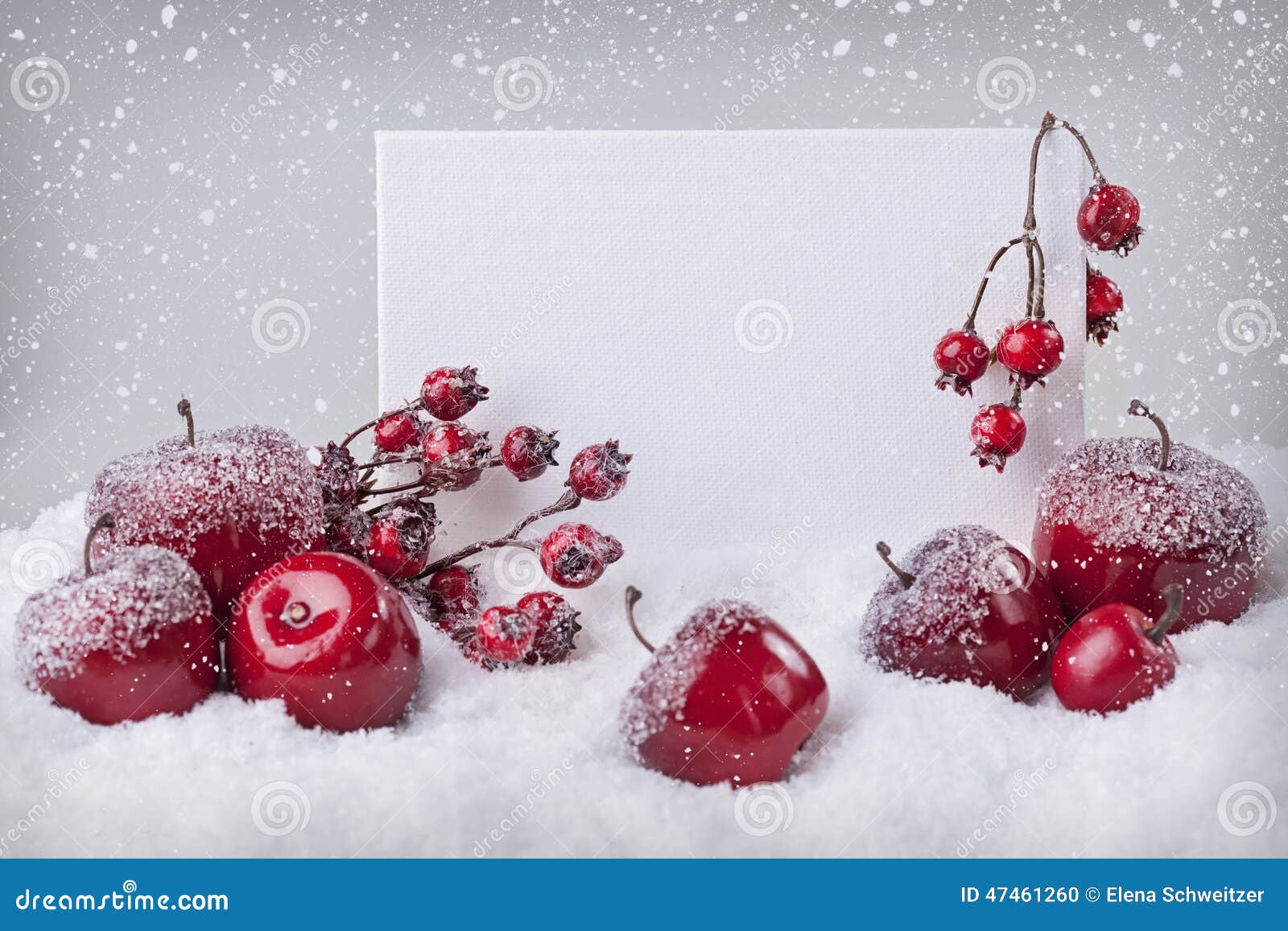  Blank  Sign With Red Christmas  Decorations  Stock Photo 