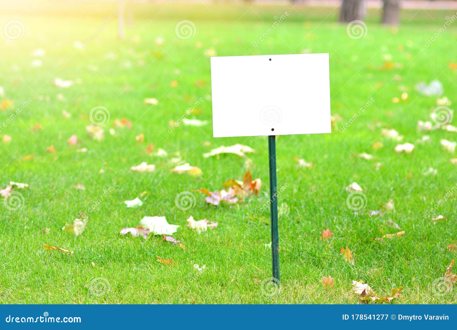 Download Blank Signboard Mockup On A Green Grass Stock Image ...