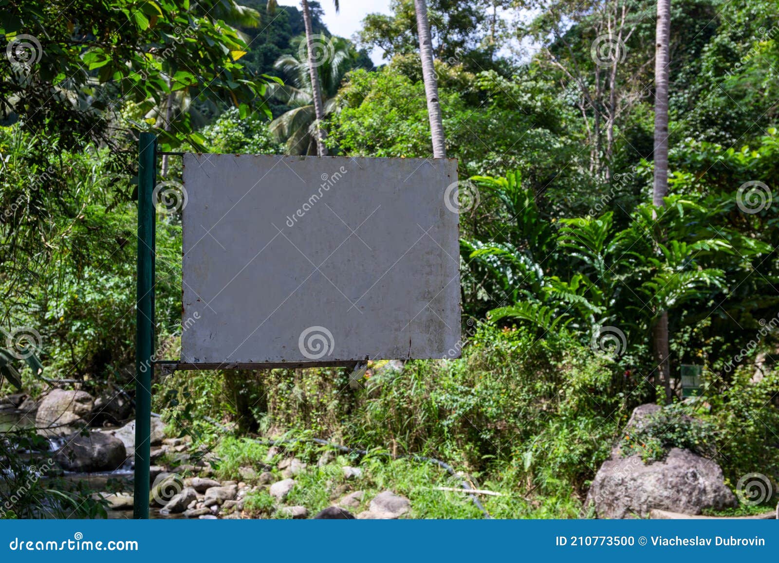 Blank Signpost in Green Forest. Empty Sign on Metallic Pillar in Tropical  Rainforest Stock Photo - Image of hotel, pillar: 210773500