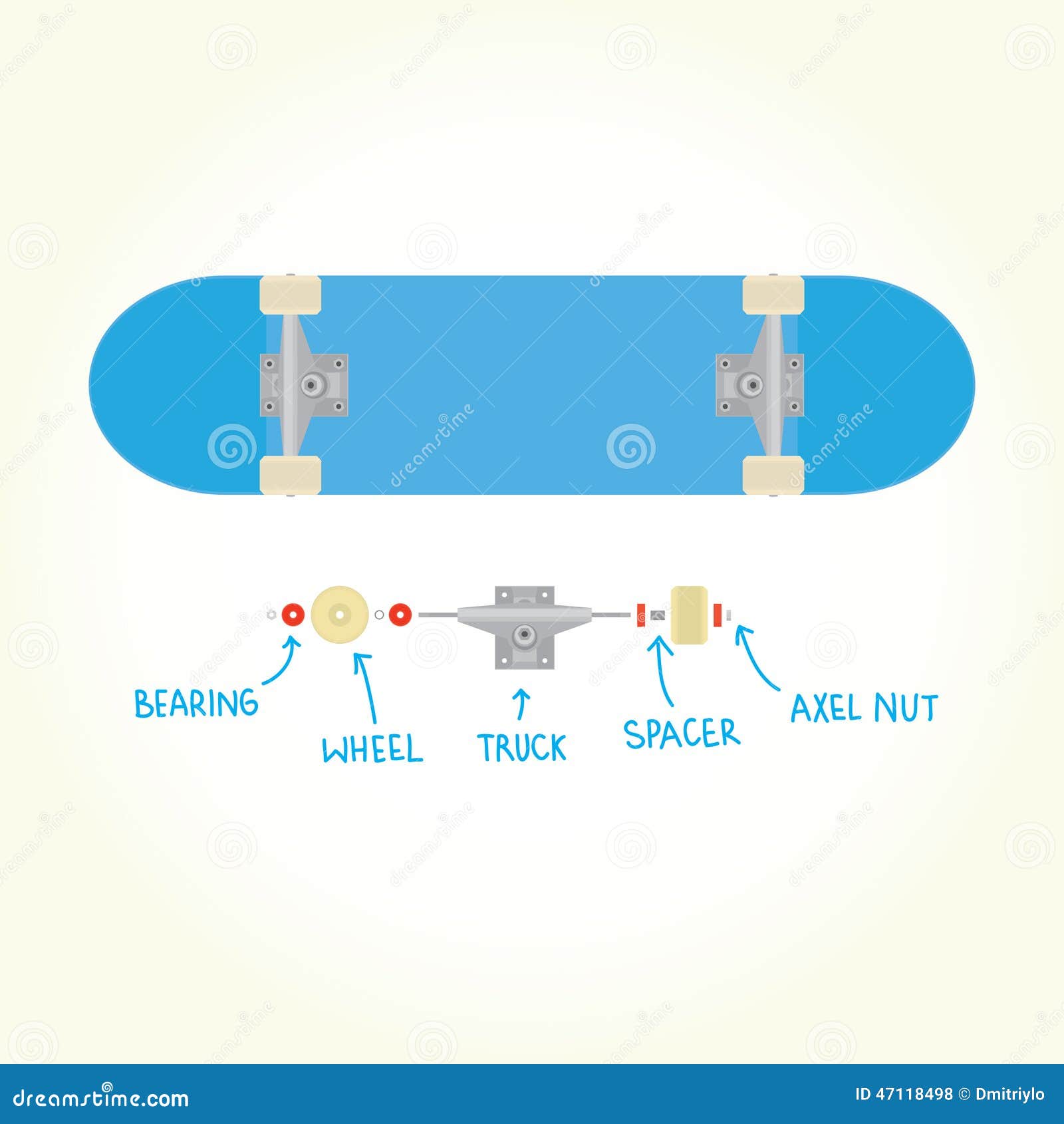 Blank Skateboard and Parts Isolated Vector Stock Vector Illustration