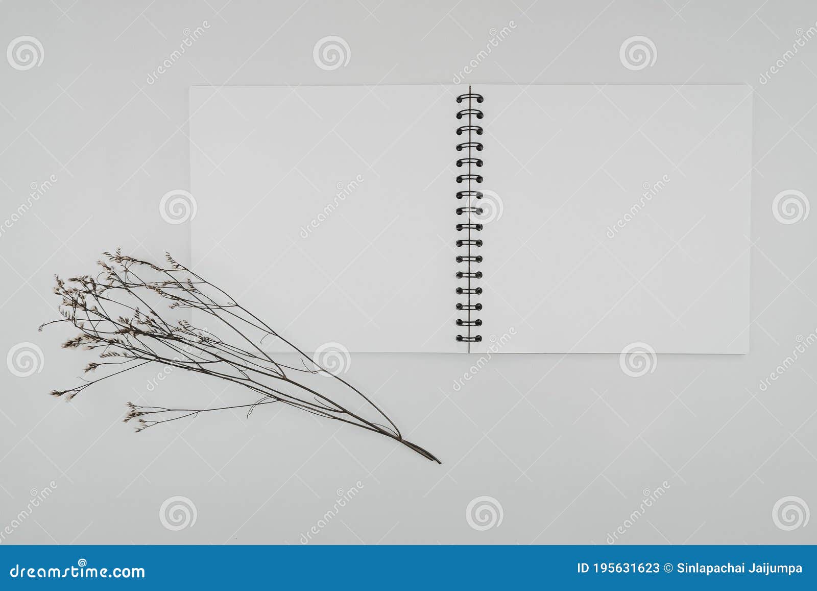 blank spiral bound sketchbook or journal or diary with limonium dry flower. mock-up of stationary. top view of empty drawing book