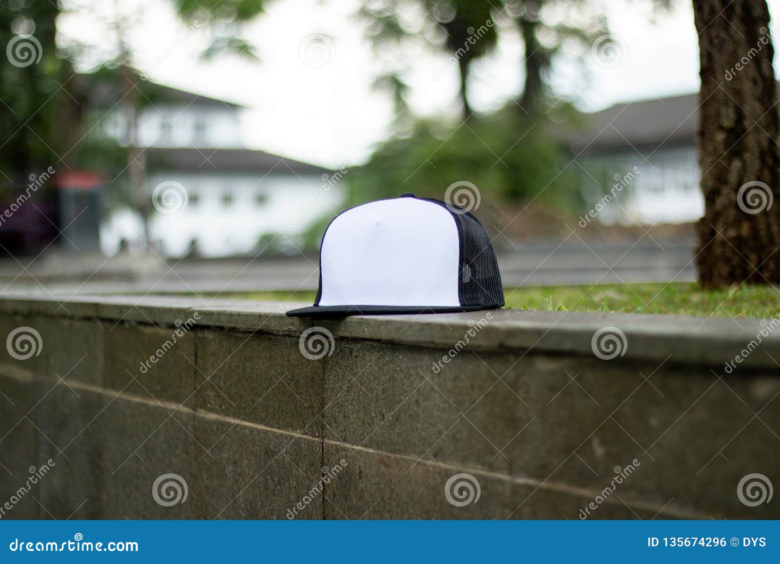 Download Blank Trucker Hat Cap Flat Visor With Black And White ...