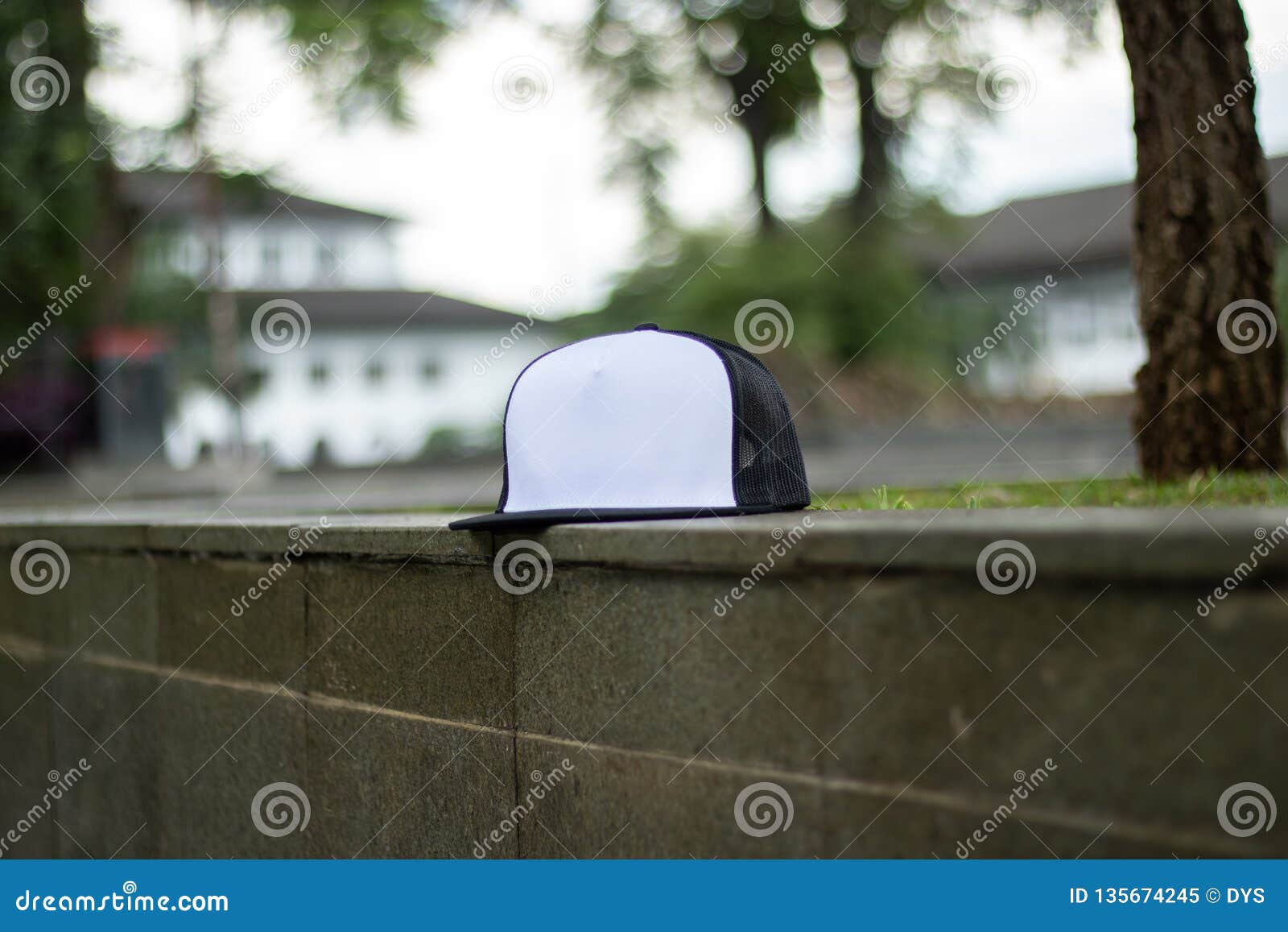 Download Blank Trucker Hat Cap Flat Visor With Black And White ...