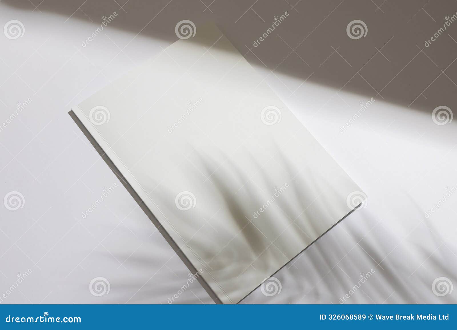 a blank white canvas is illuminated by natural light, with copy space