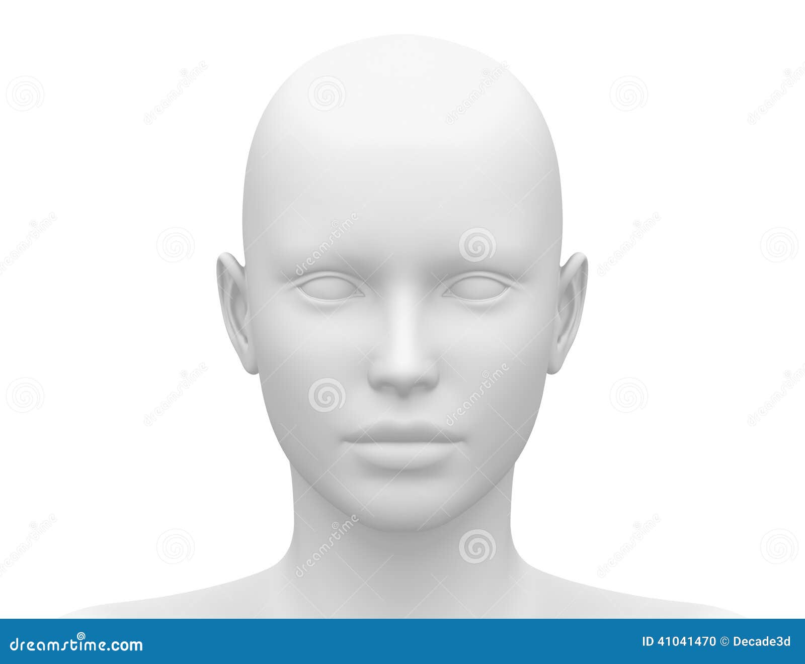 blank white female head - front view