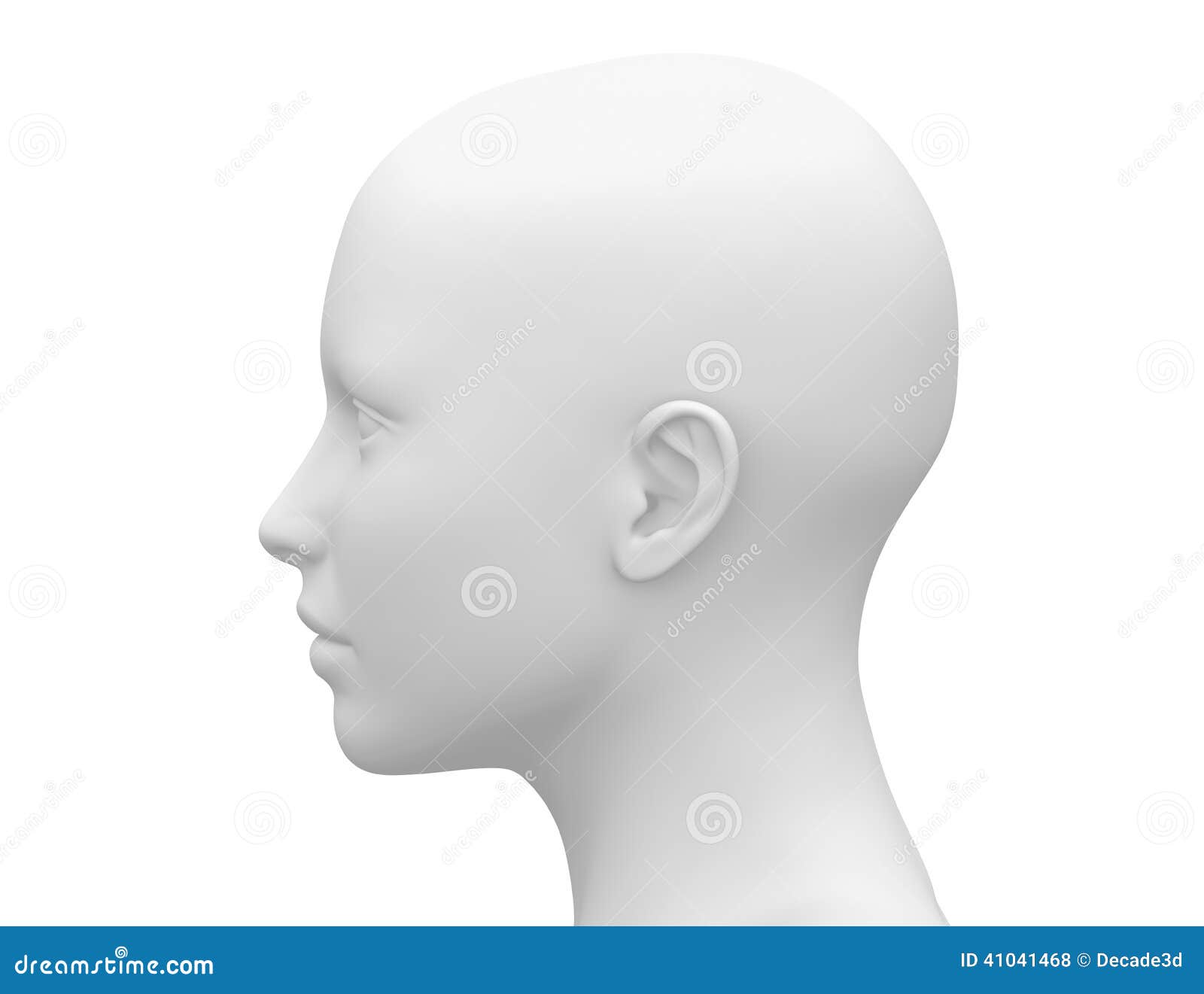 Blank White Female Head - Side View Stock Illustration - Image: 41041468