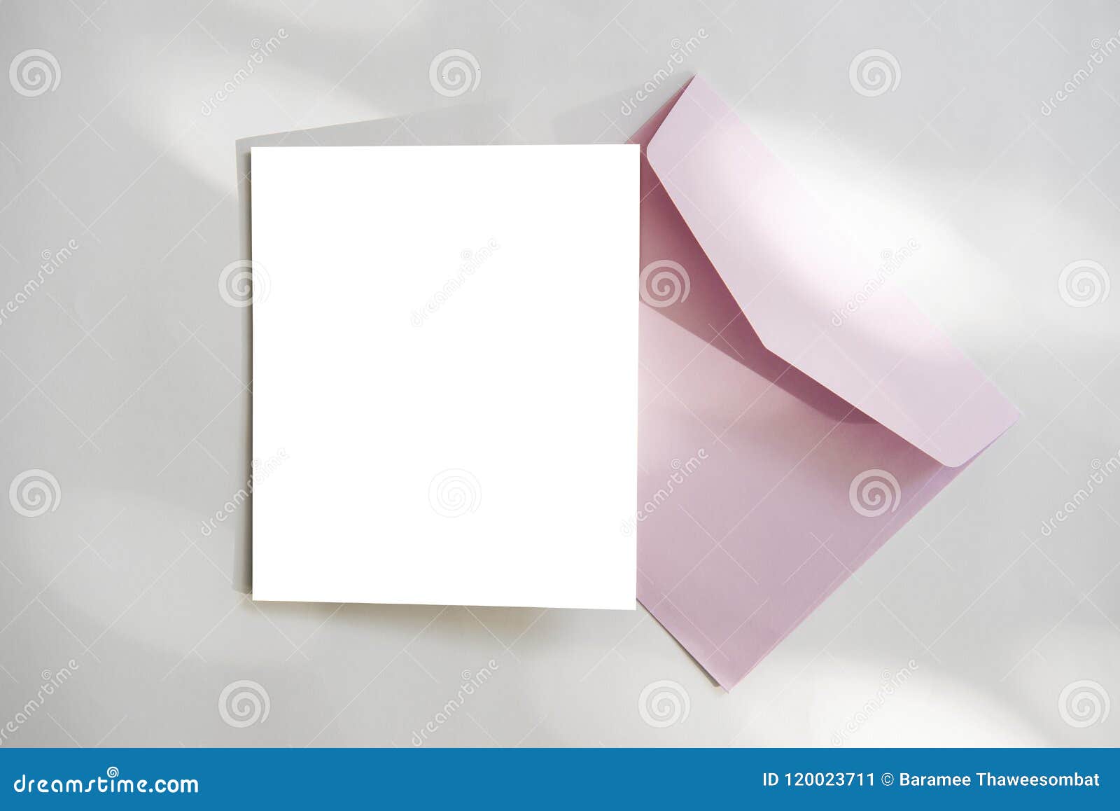 Blank White Greeting Card with Envelope and Flower. for Mockup Stock