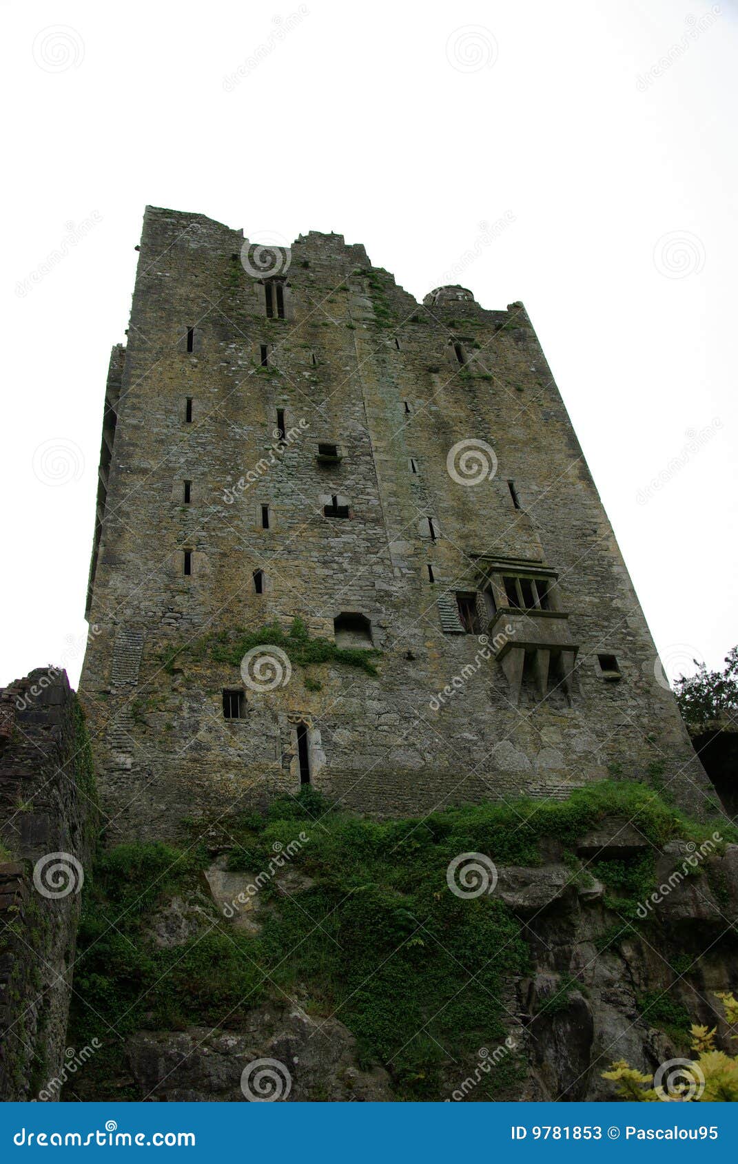 Blarney grodowy Ireland. Blarney kasztelu korek Ireland blisko