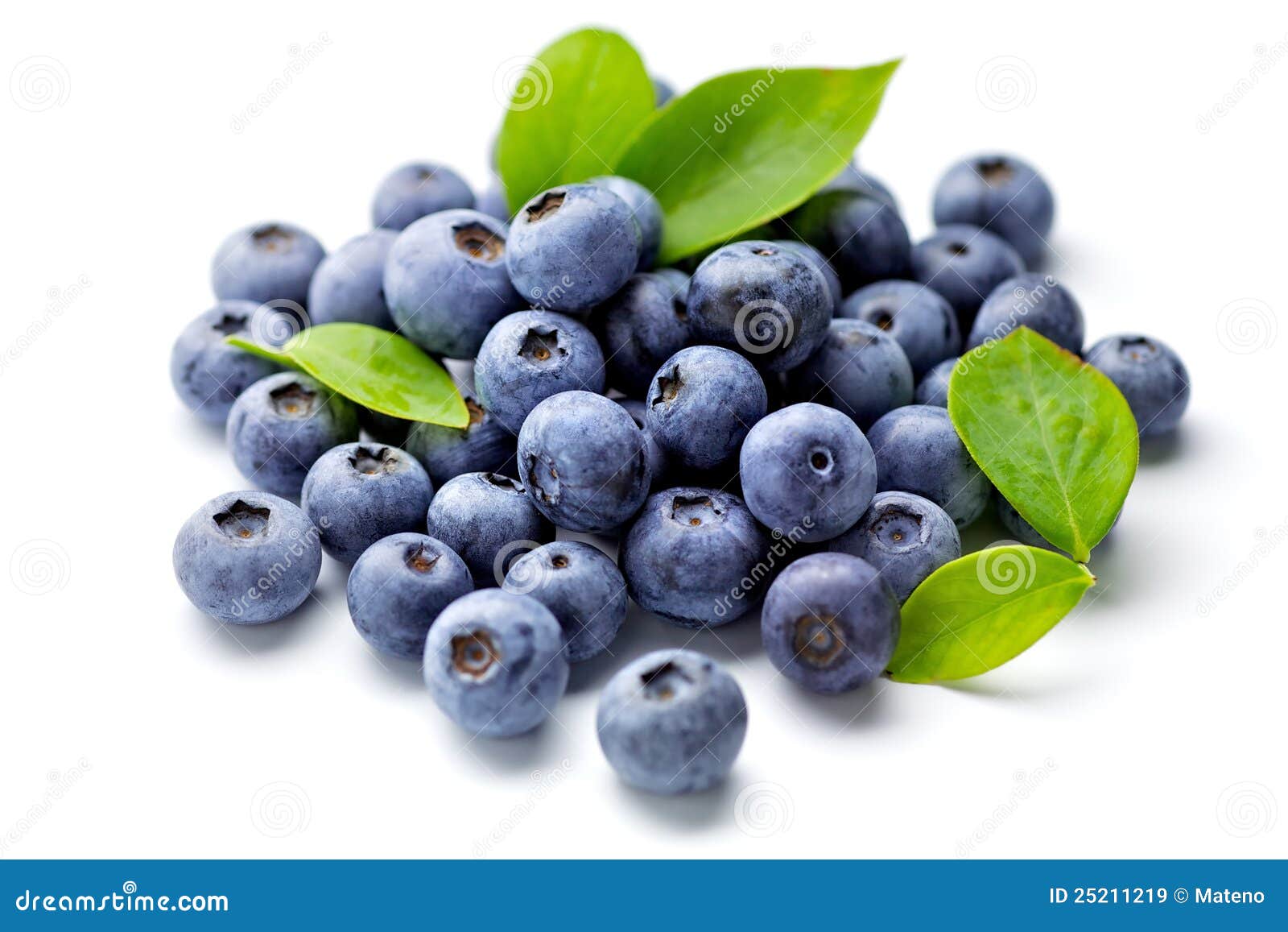 Blaubeere stockbild. Bild von frucht, blatt, blaubeere 25211219