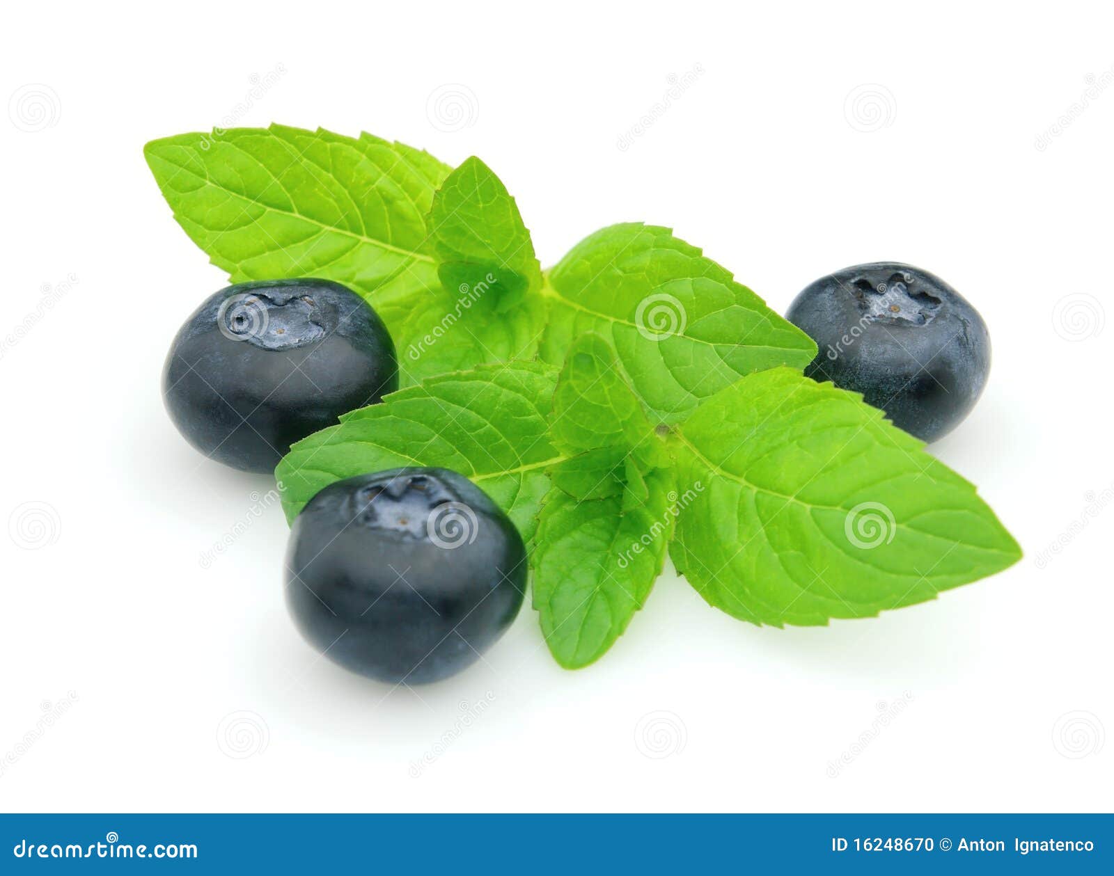 Blaubeere mit Minze stockfoto. Bild von beere, frucht 16248670
