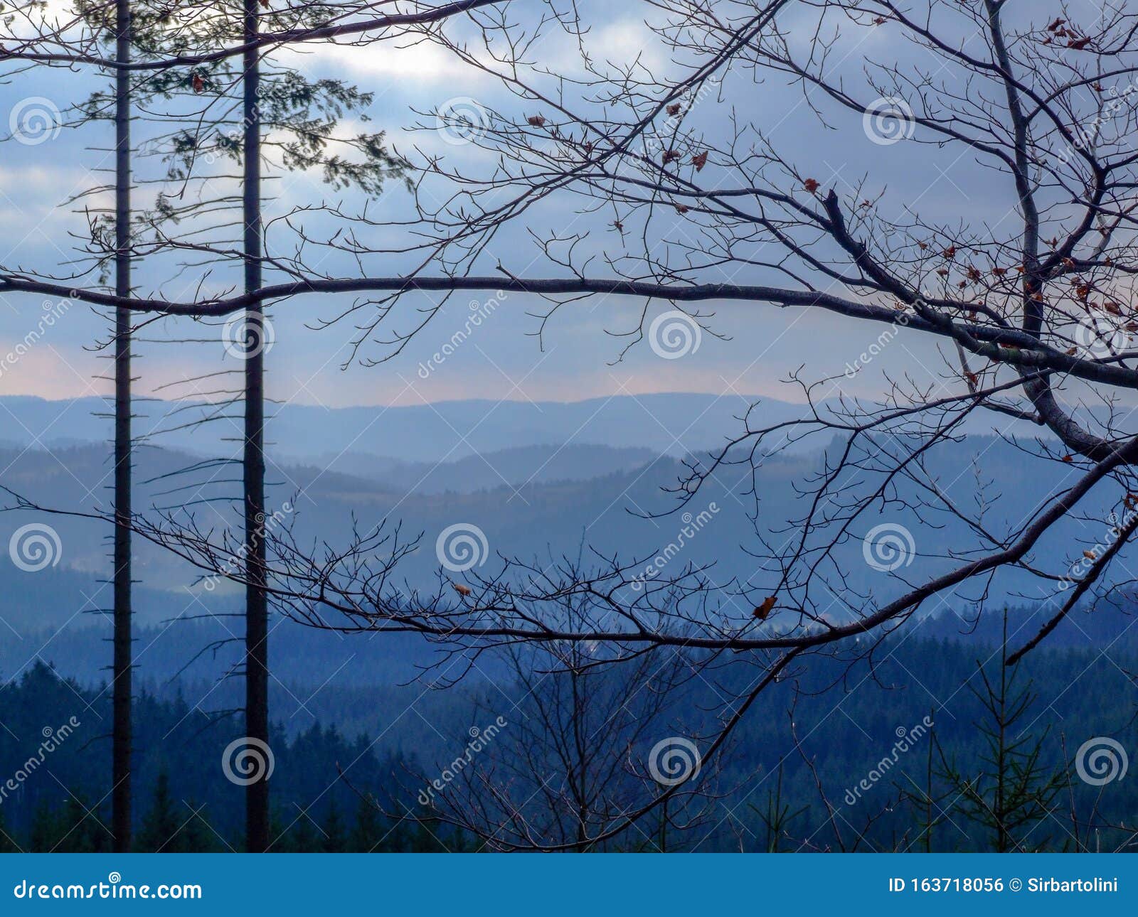 Blaue Berglandschaft in Mährisch-Schlesischen Beskiden in Nordtschechien. Winterlandschaft in den Mährisch-schlesischen Beskiden in Nordtschechien Foto aufgenommen in der Nähe der Stadt Mosty u Jablunkova November Tag, 2008 Bäume im Vordergrund Blaue Hügel und bewölkter Himmel im Hintergrund