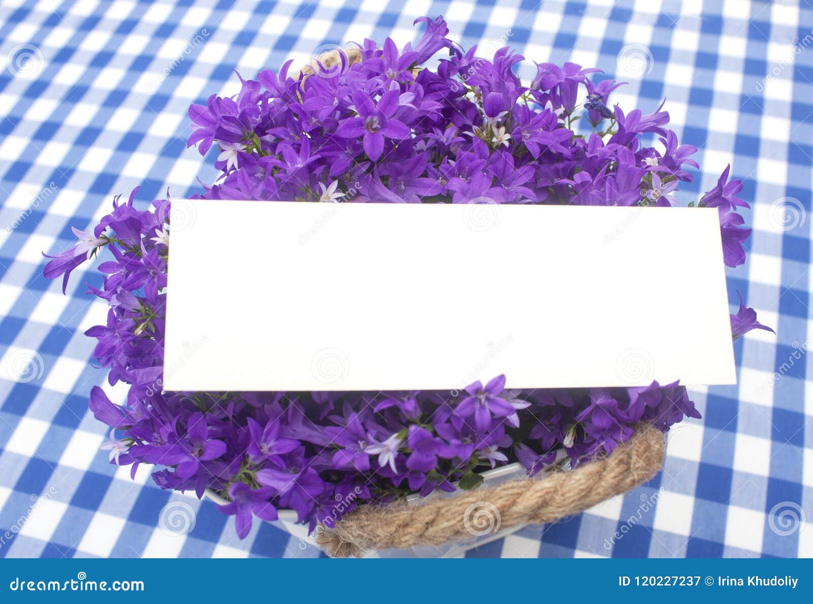 Blaue Glocken und Raum stockbild. Bild von raum, glocken - 120227237