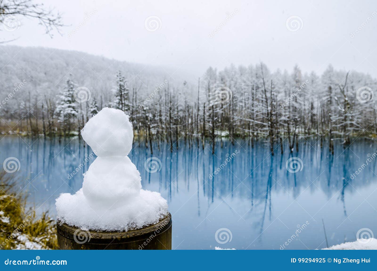 Blauer Teich Biei, Hokkaido, Japan Stockbild Bild von überraschen