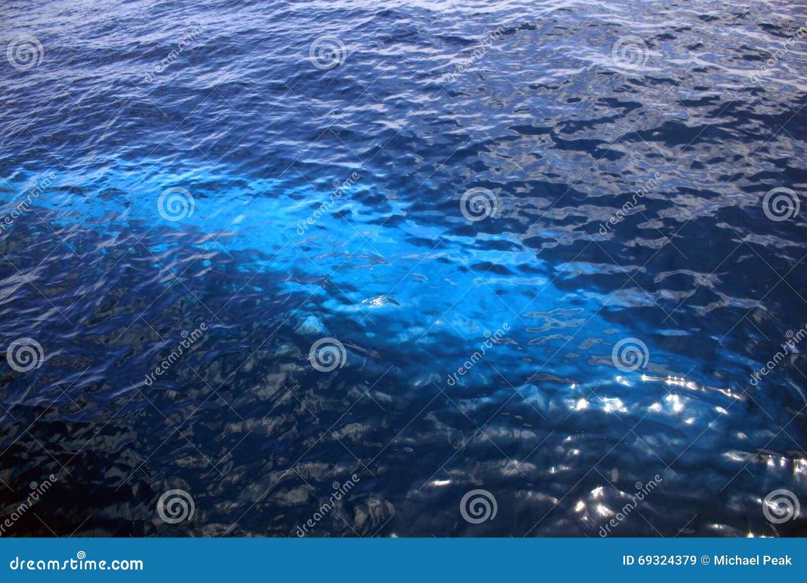 Blauwal Unter Wasser Stockbild Bild Von Nave Tiere