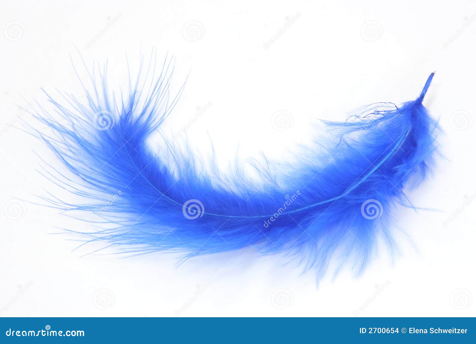 compileren kleurstof Empirisch Blauwe veer stock foto. Image of textuur, verzacht, lucht - 2700654
